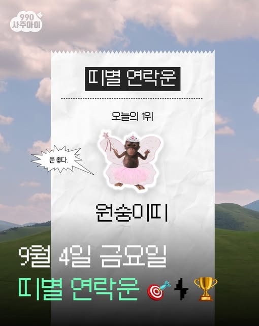 사주아이 공식 인스타그램의 띠별 연락운 콘텐츠 표지